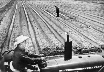 Image of man on a tractor in a field